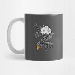 Black and Gold Leaf - Blooming White Rosebush - Vintage Botanical Mug